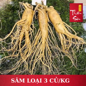 Sâm tươi Hàn Quốc loại 3 củ/kg