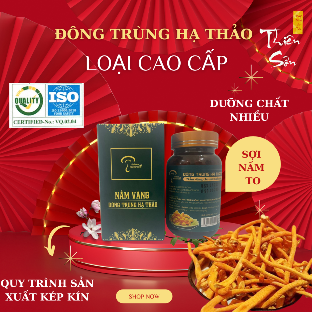 Nấm Đông trùng Hạ thảo TH