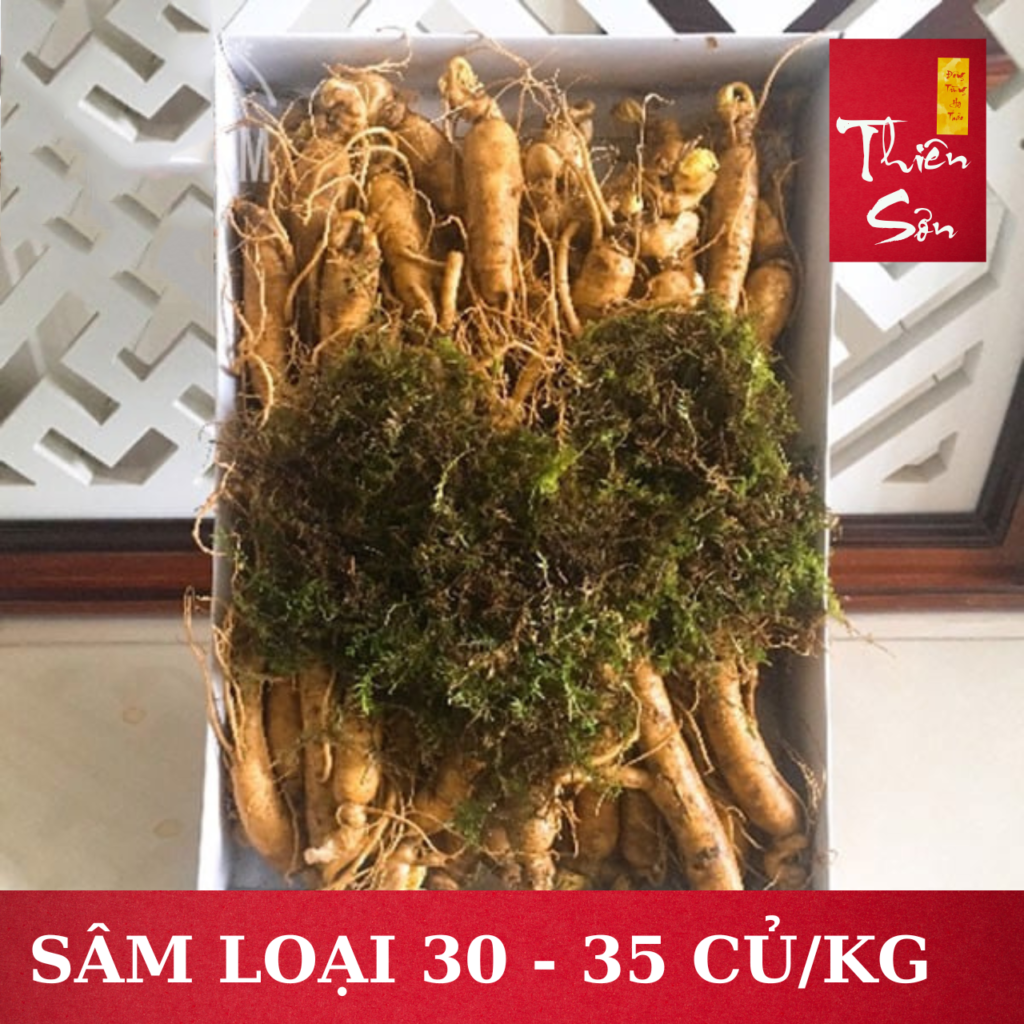 Sâm tươi Hàn Quốc loại 30 củ/kg