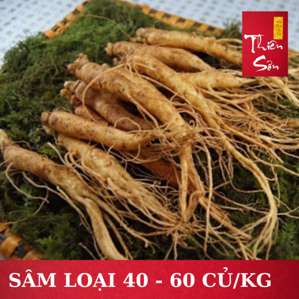 Sâm tươi Hàn Quốc loại 40 củ/kg