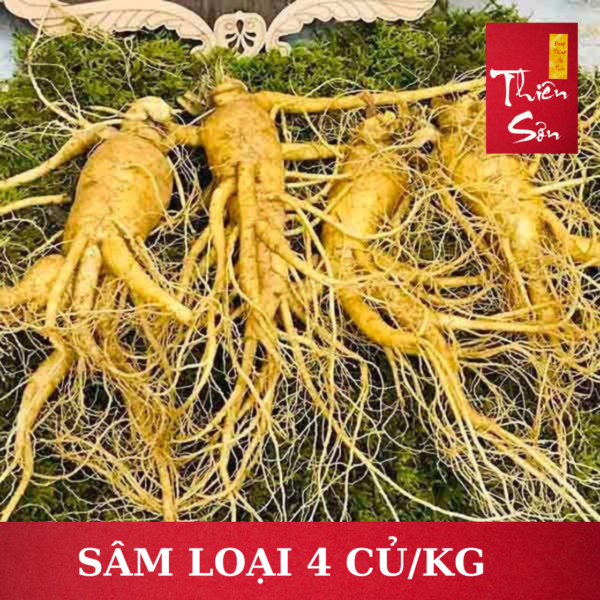 Sâm tươi Hàn Quốc loại 3 củ/kg