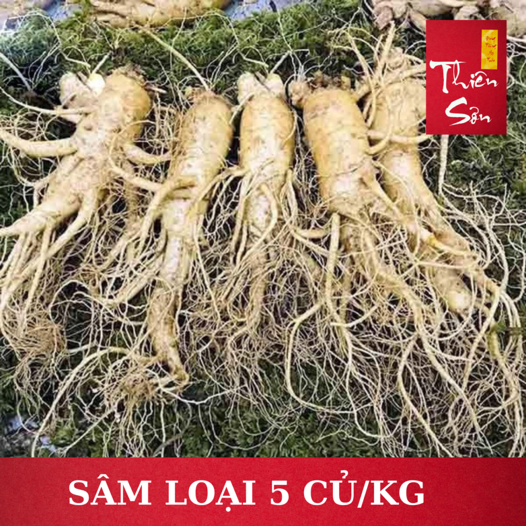 Sâm tươi Hàn Quốc loại 5 củ/kg