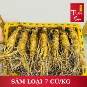 Sâm tươi Hàn Quốc loại 7 củ/kg