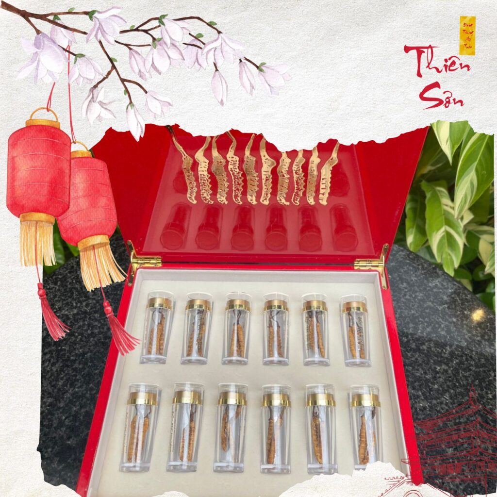 Đông trùng hạ thảo10g size 5