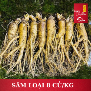 Sâm tươi Hàn Quốc loại 8 củ/kg