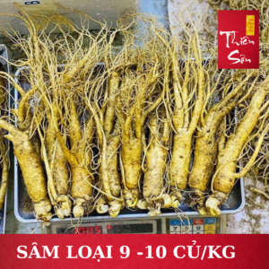 Sâm tươi Hàn Quốc loại 10 củ/kg