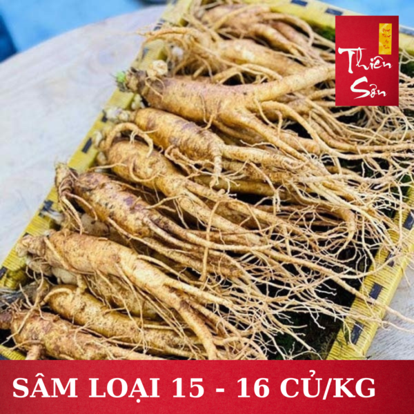 Sâm tươi Hàn Quốc loại 15 củ/kg