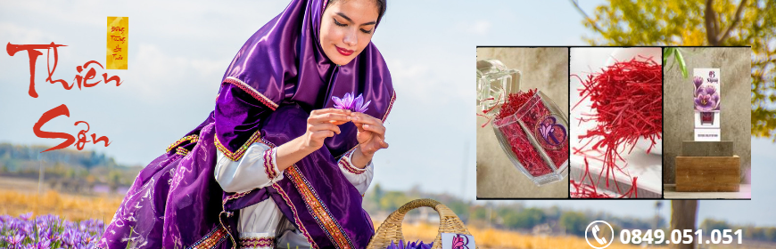 Saffron Iran Behrang
