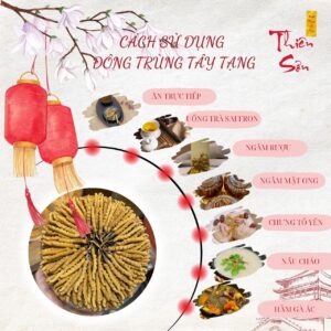 Cách sử dụng đông trùng hạ thảo