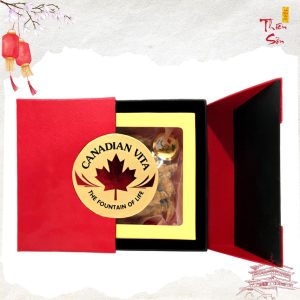 Hộp Sâm Canadian Vita loại hộp 200g