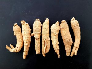 Nhân sâm Bắc Mỹ, Sâm Canada, Sâm Tây Dương